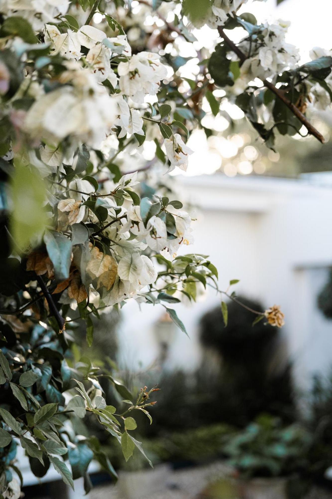 Devereux Lodge East London Εξωτερικό φωτογραφία